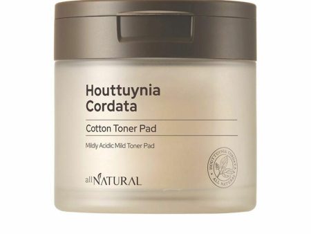 Cotton Wool Pads All Natural Houttuynia Cordata Facial Toner 60 Units Hot on Sale