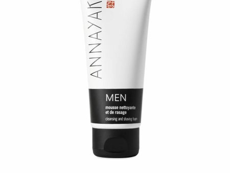 Day Cream Annayake Men 100 ml Online now