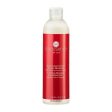 Anti-Hair Loss Shampoo Regenessent Innossence Regenessent (300 ml) 300 ml Online Hot Sale