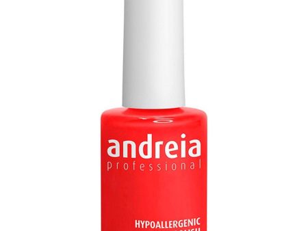 nail polish Andreia Nº 109 (14 ml) Online