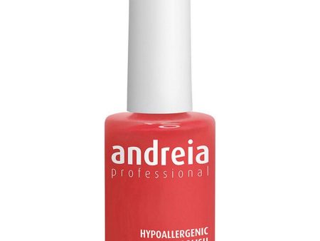 nail polish Andreia Professional Hypoallergenic Nº 119 (14 ml) Online now