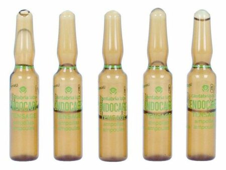 Ampoules Endoncare Tensage Regenerative (10 x 2 ml) Supply