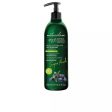 Body Lotion Naturalium Super Food Antioxidant Blueberries 400 ml For Discount